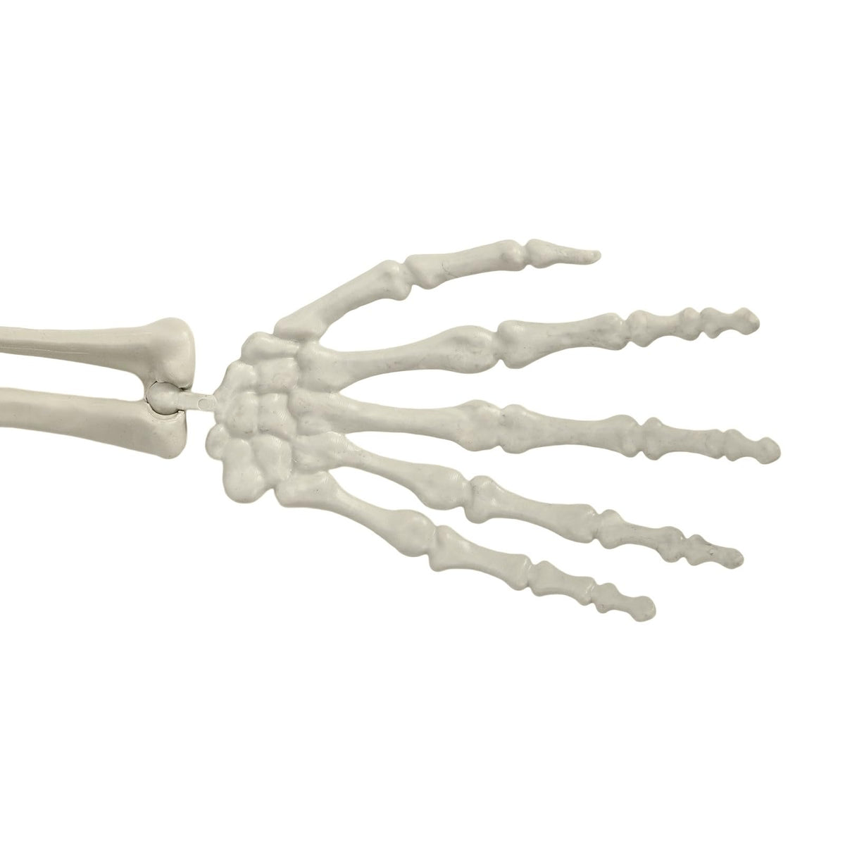5.4FT Posable Skeleton C991385