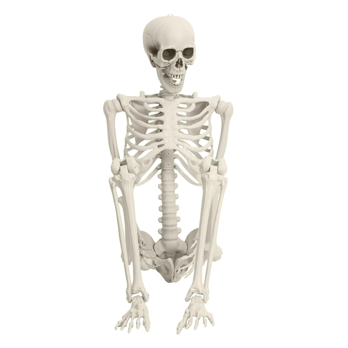 5.4FT Posable Skeleton C991385
