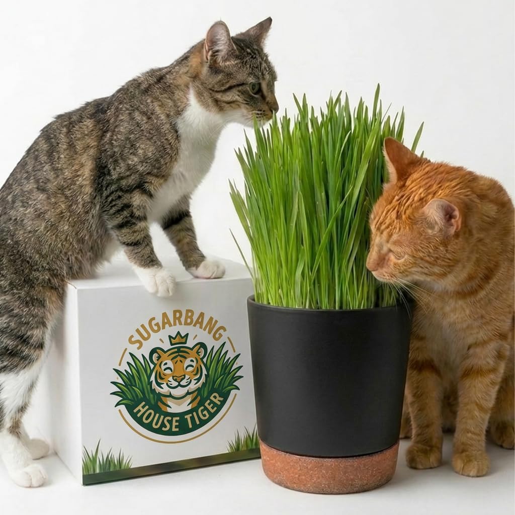 Cat Grass Gift Set with Self-Watering Pot & 3-Pack Refill M719