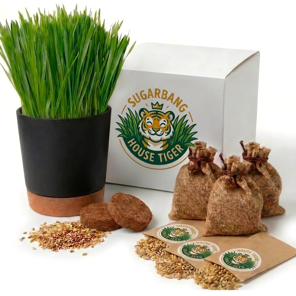 Cat Grass Gift Set with Self-Watering Pot & 3-Pack Refill M719