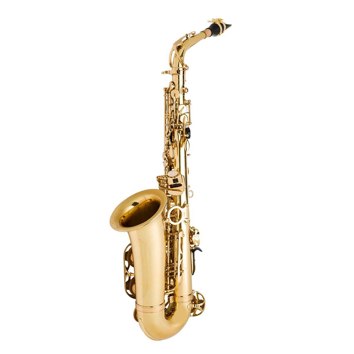 Alto Saxophone J510089