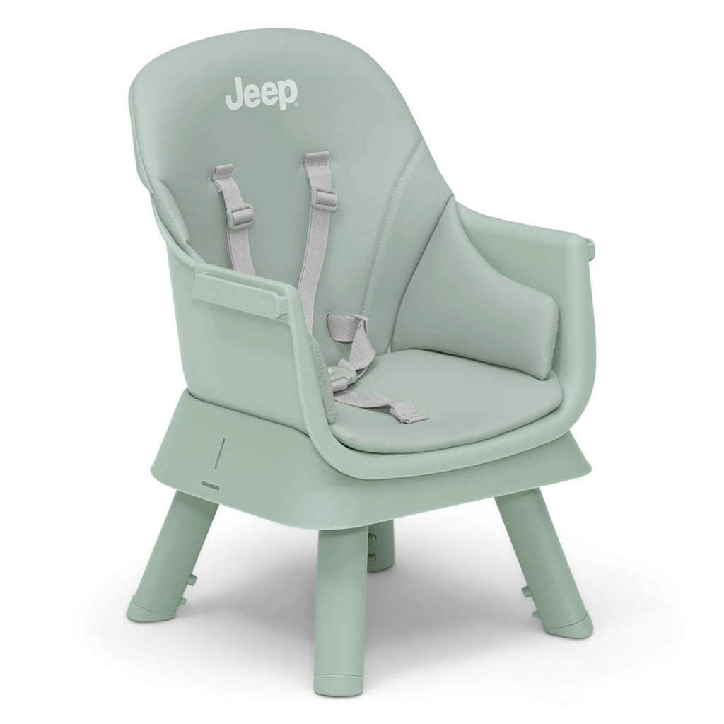 6-in-1 High Chair Converts to Stool Booster Seat Toddler Chair Activity Table and Desk and Chair Sage Green J144
