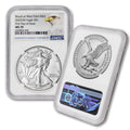 1 oz American Silver Eagle Coin MS-70 N7276