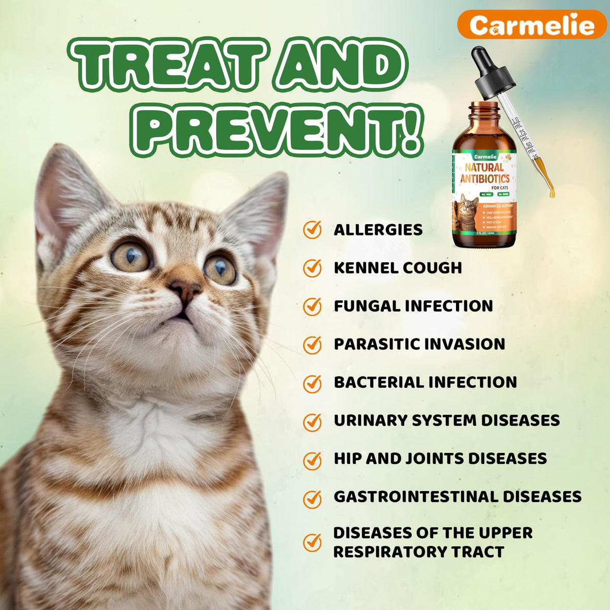 2 fl oz Natural Antibiotics for Cats R396938