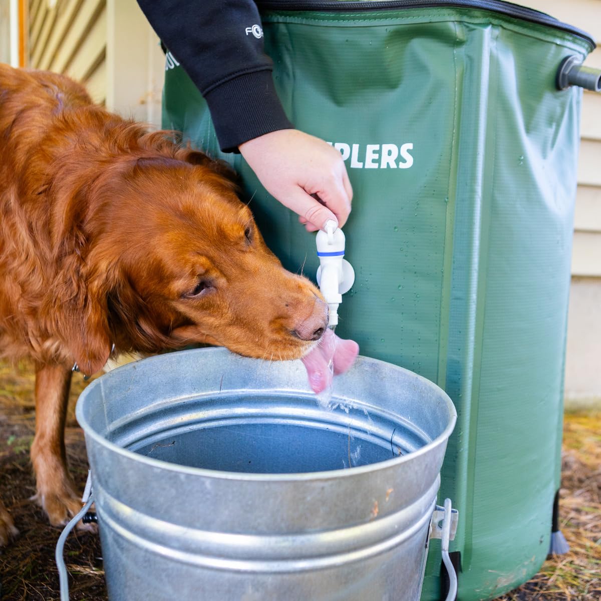 50 Gal Rainwater Bucket H5072