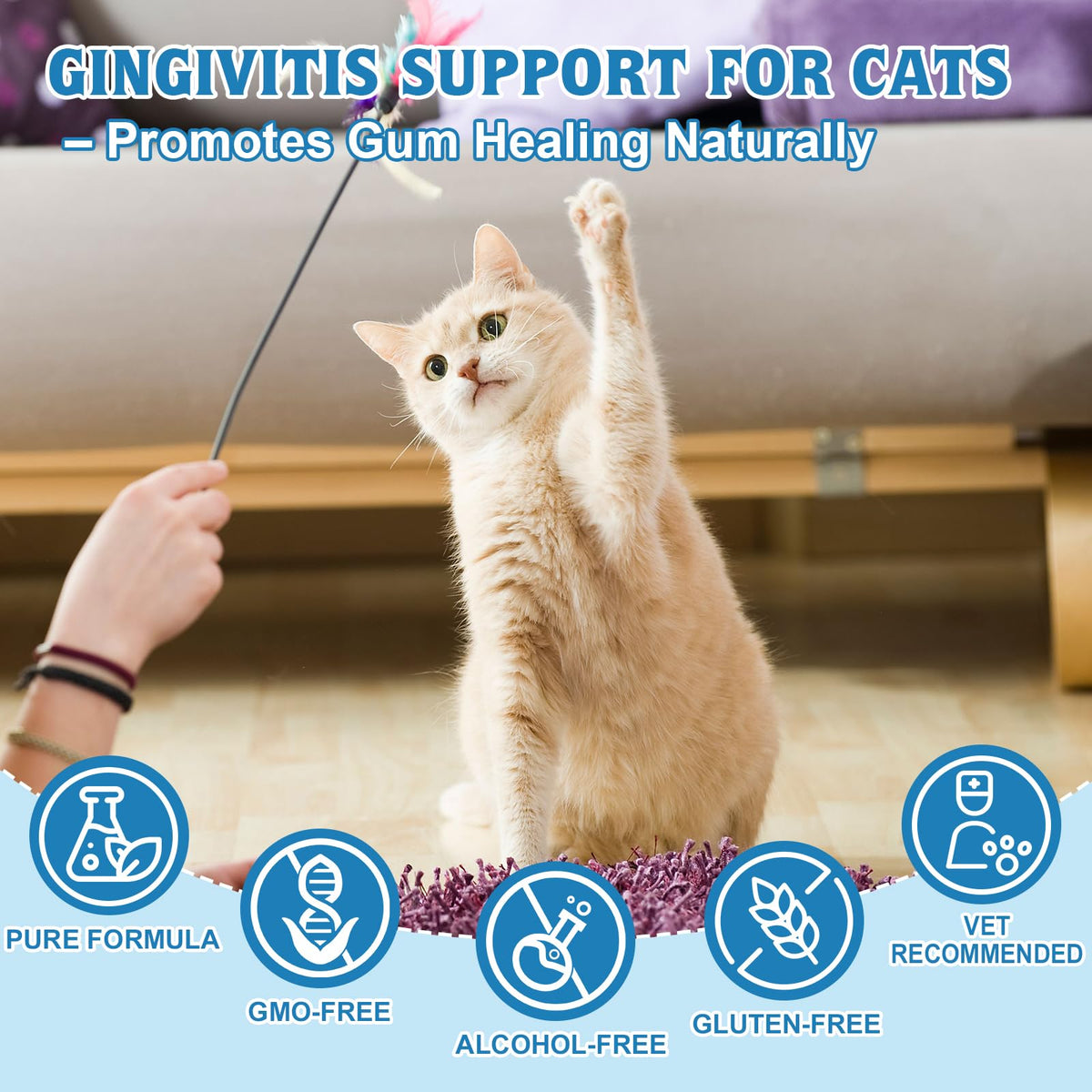 Natural Plant-Based Cat Oral Care I388