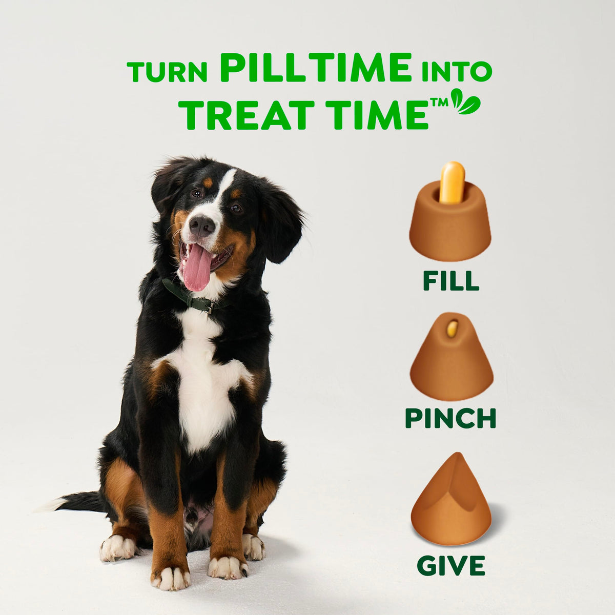 Peanut Butter Large Size Dog Treats 15.8 oz G440