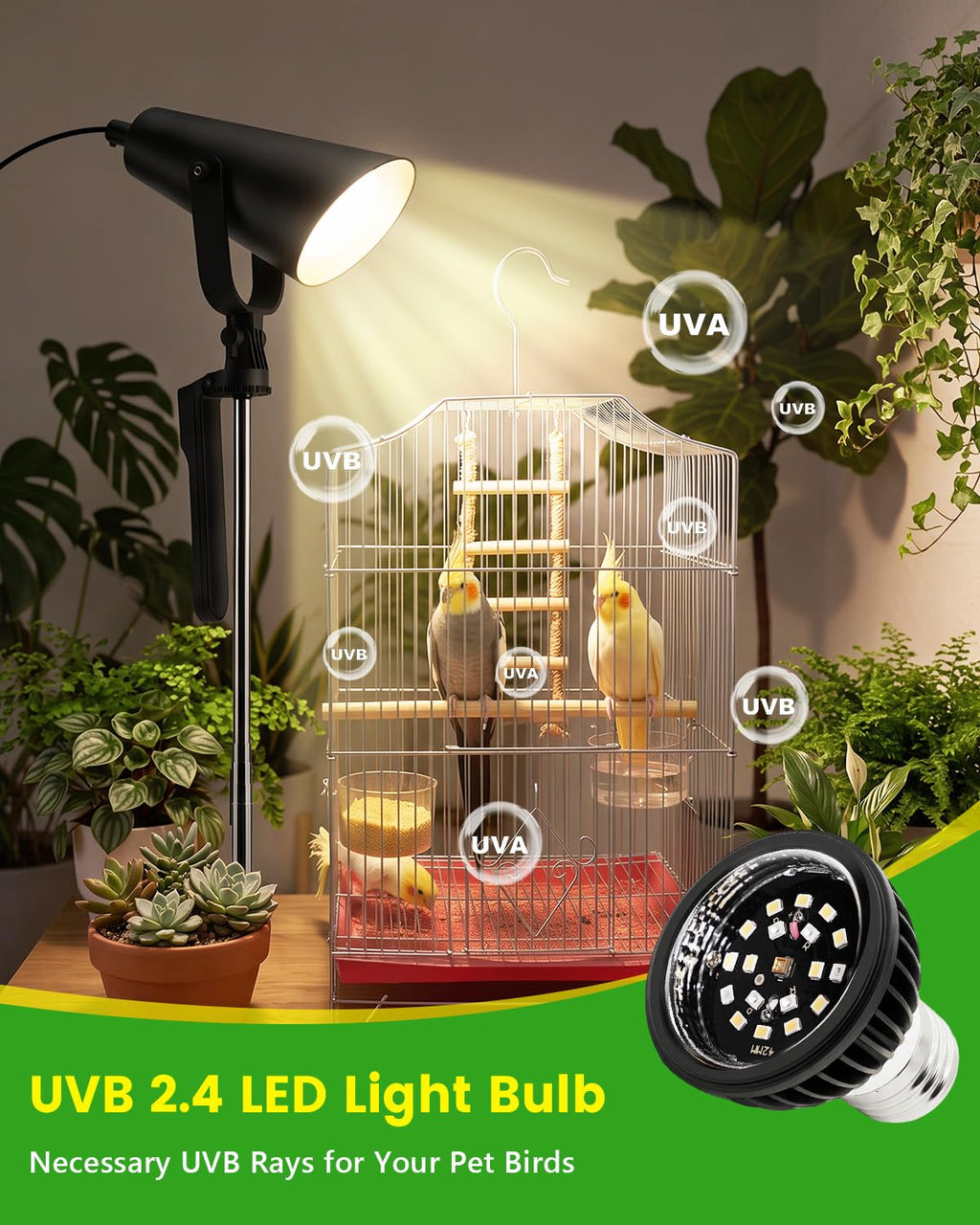Bird Light with Adjustable Tripod Stand Y657162