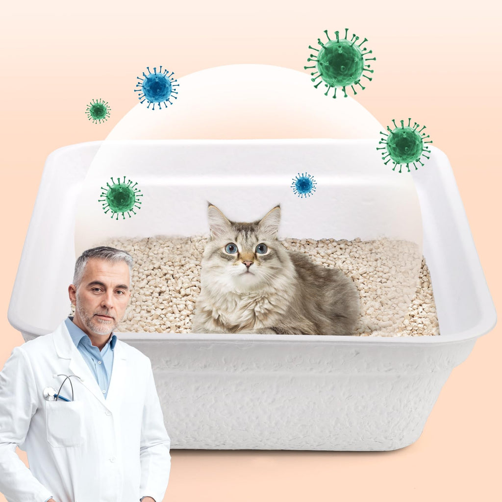 8 Pack White Cardboard Disposable Cat Litter Boxes N452754
