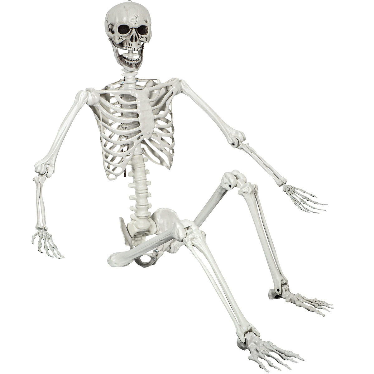 5.4ft Posable Life Size Skeleton with Movable Joints E216