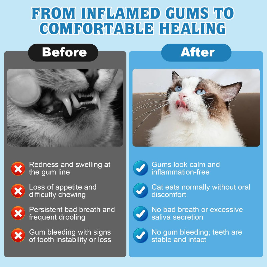 Natural Plant-Based Cat Oral Care I388