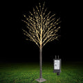 6FT Lighted Birch Tree 500 LED Warm White A81454