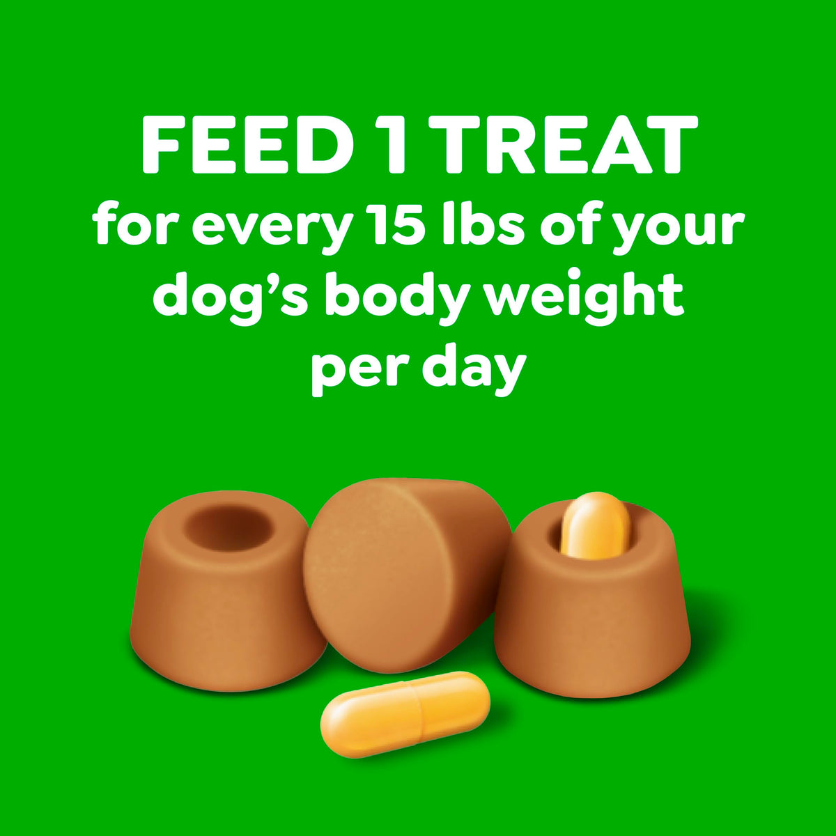 Peanut Butter Large Size Dog Treats 15.8 oz G440