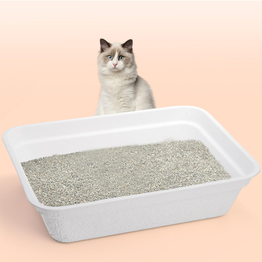 8 Pack White Cardboard Disposable Cat Litter Boxes N452754