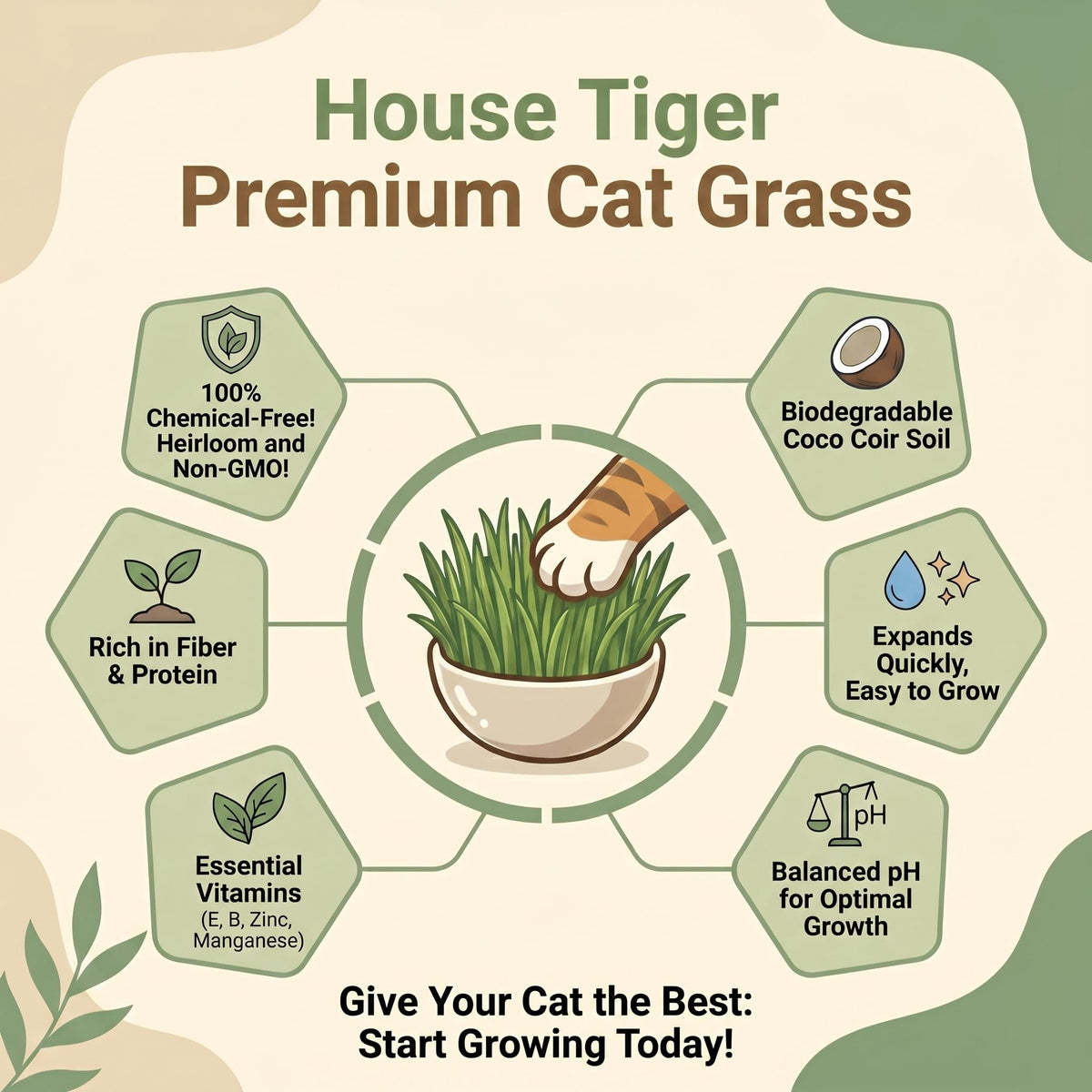 Cat Grass Gift Set with Self-Watering Pot & 3-Pack Refill M719