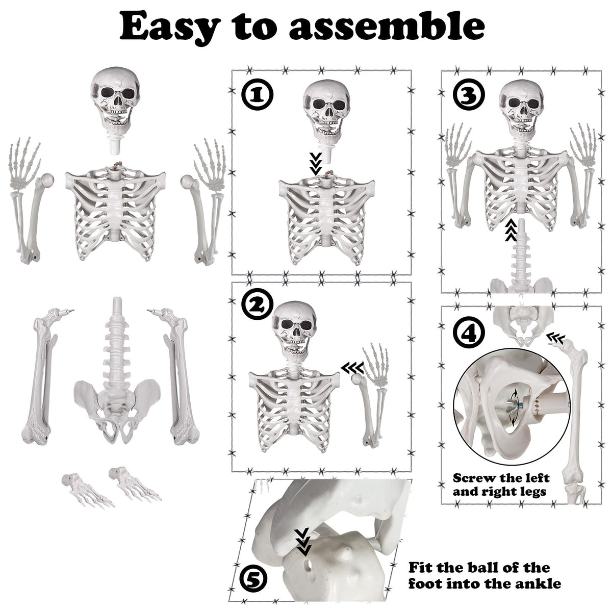 5.4ft Posable Life Size Skeleton with Movable Joints E216