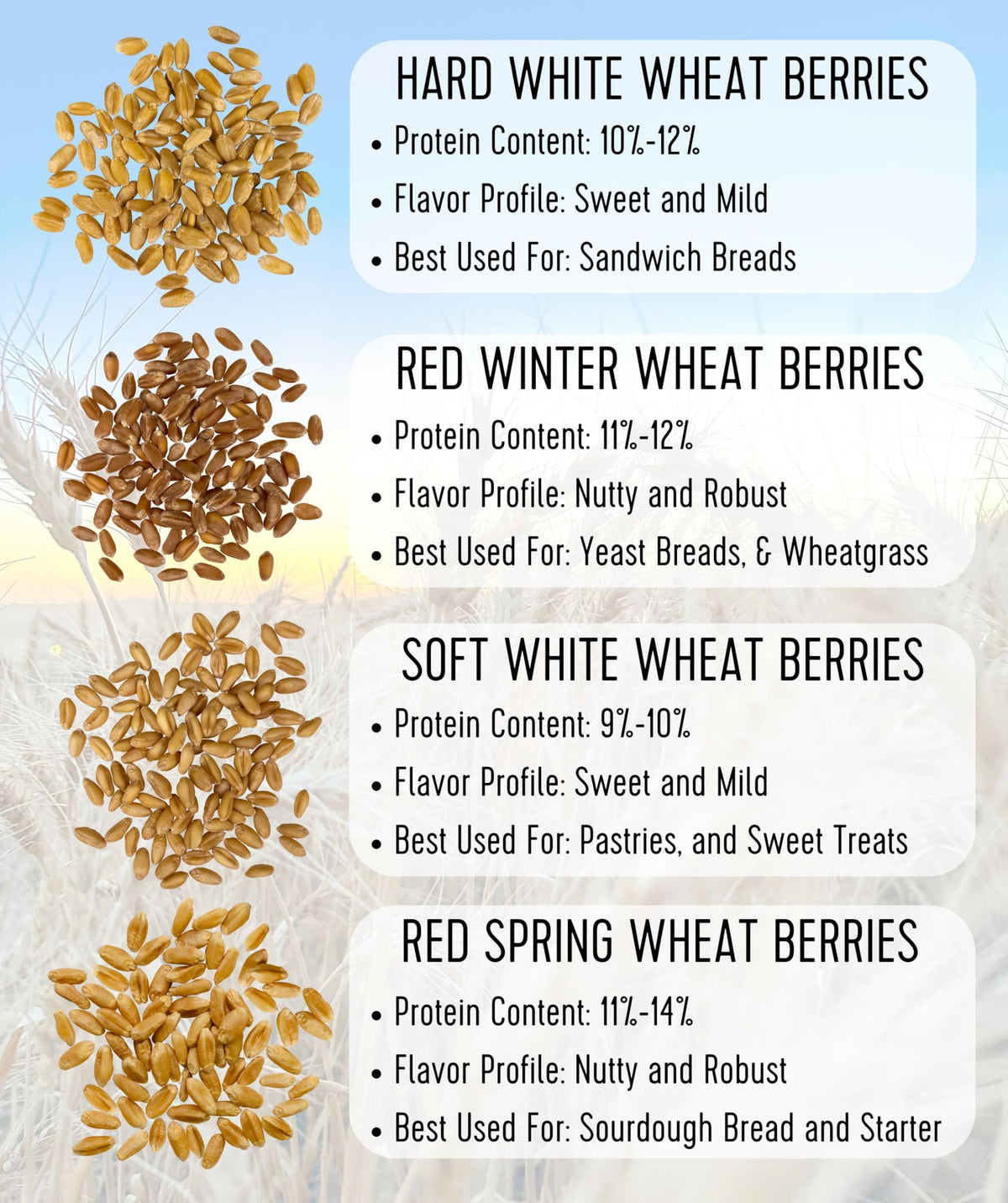Soft White Wheat Berries 25 LBS J79215