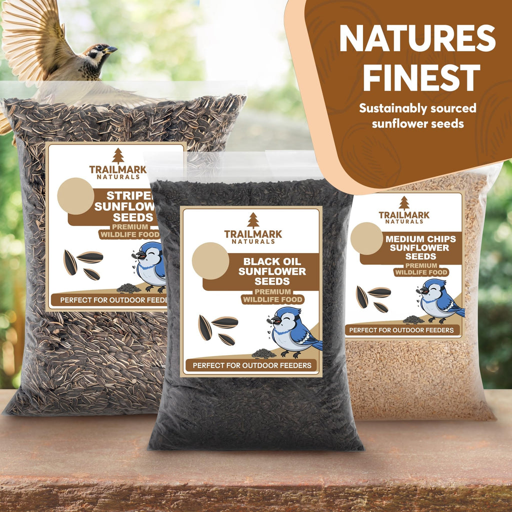 Black Oil Sunflower Seeds for Birds R4364