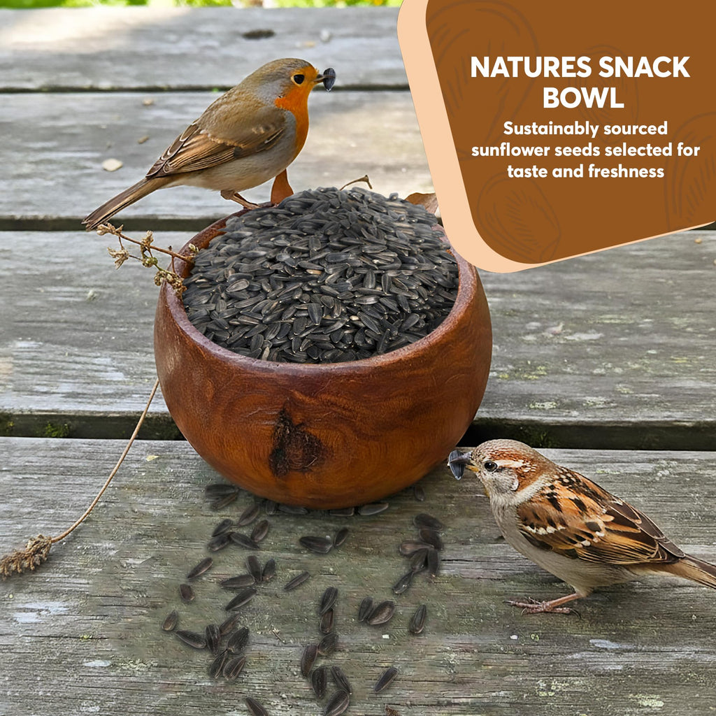 Black Oil Sunflower Seeds for Birds R4364