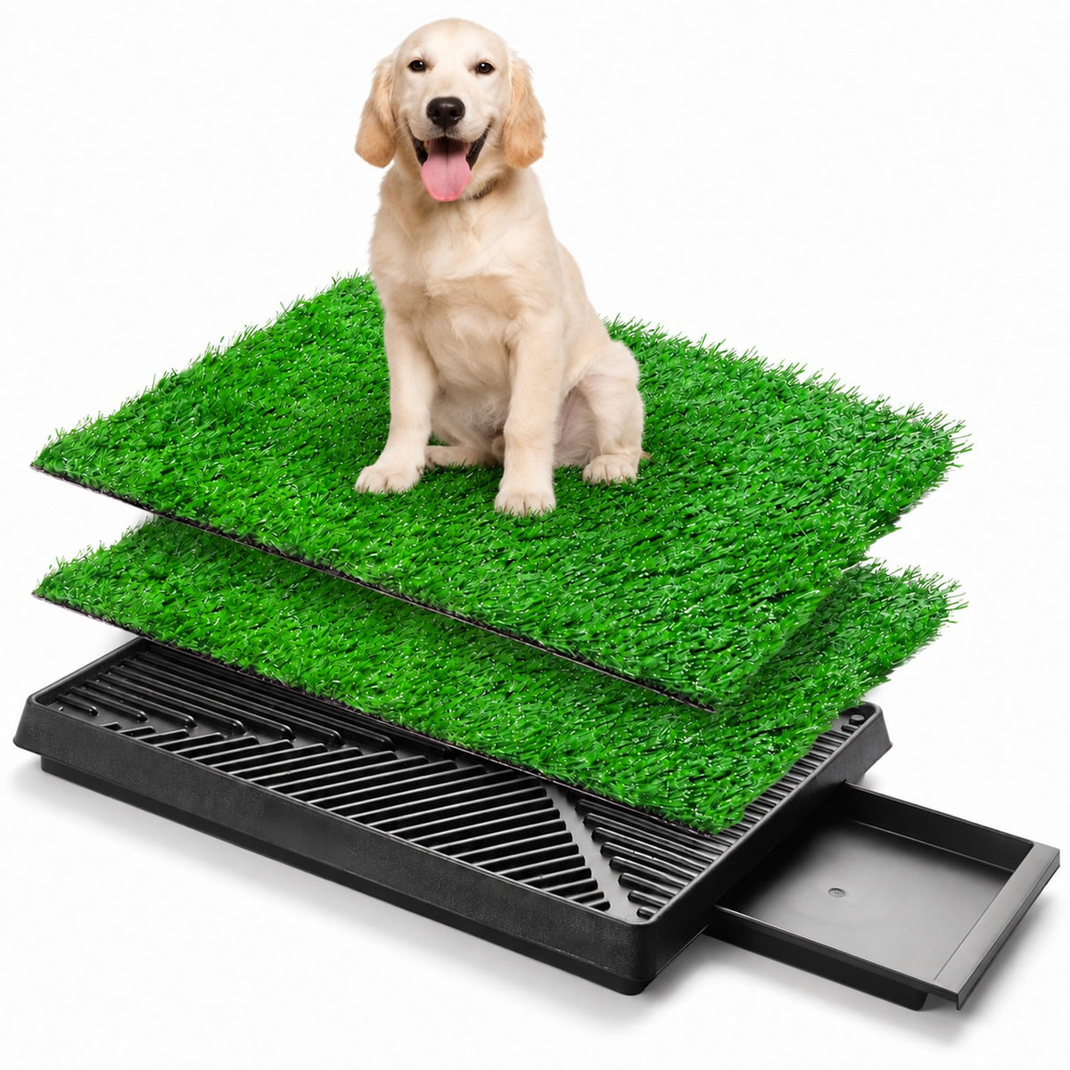 Dog Potty Grass Pads, 2 Pack, 25 x 20 in Turf U943881