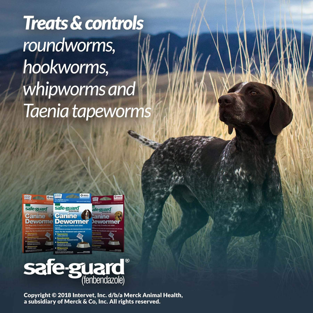 Canine Dewormer 2gm Pouch Pack of 3 D750