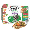 Wet Dog Food 12 10 oz Tub V6744