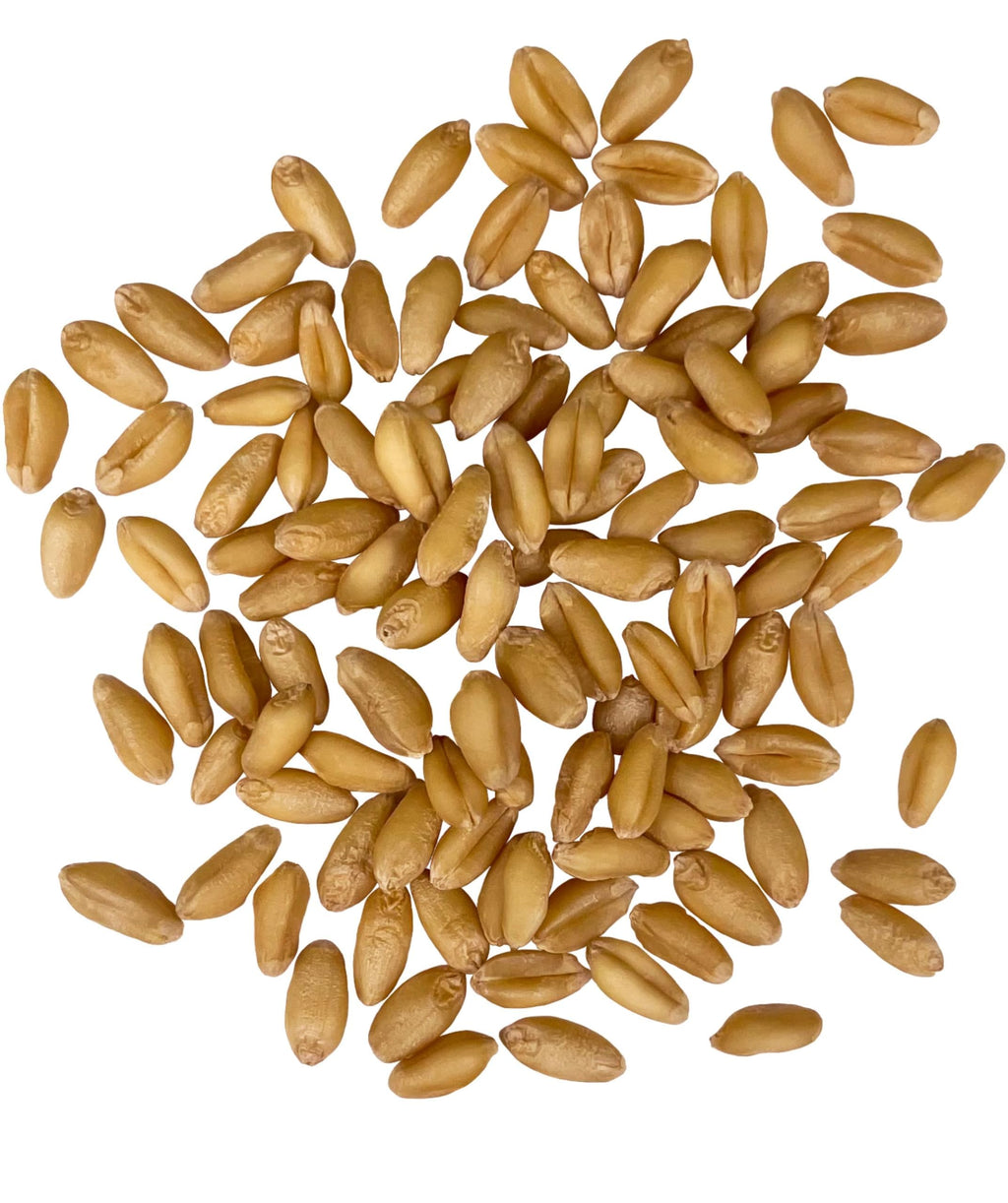 Soft White Wheat Berries 25 LBS J79215