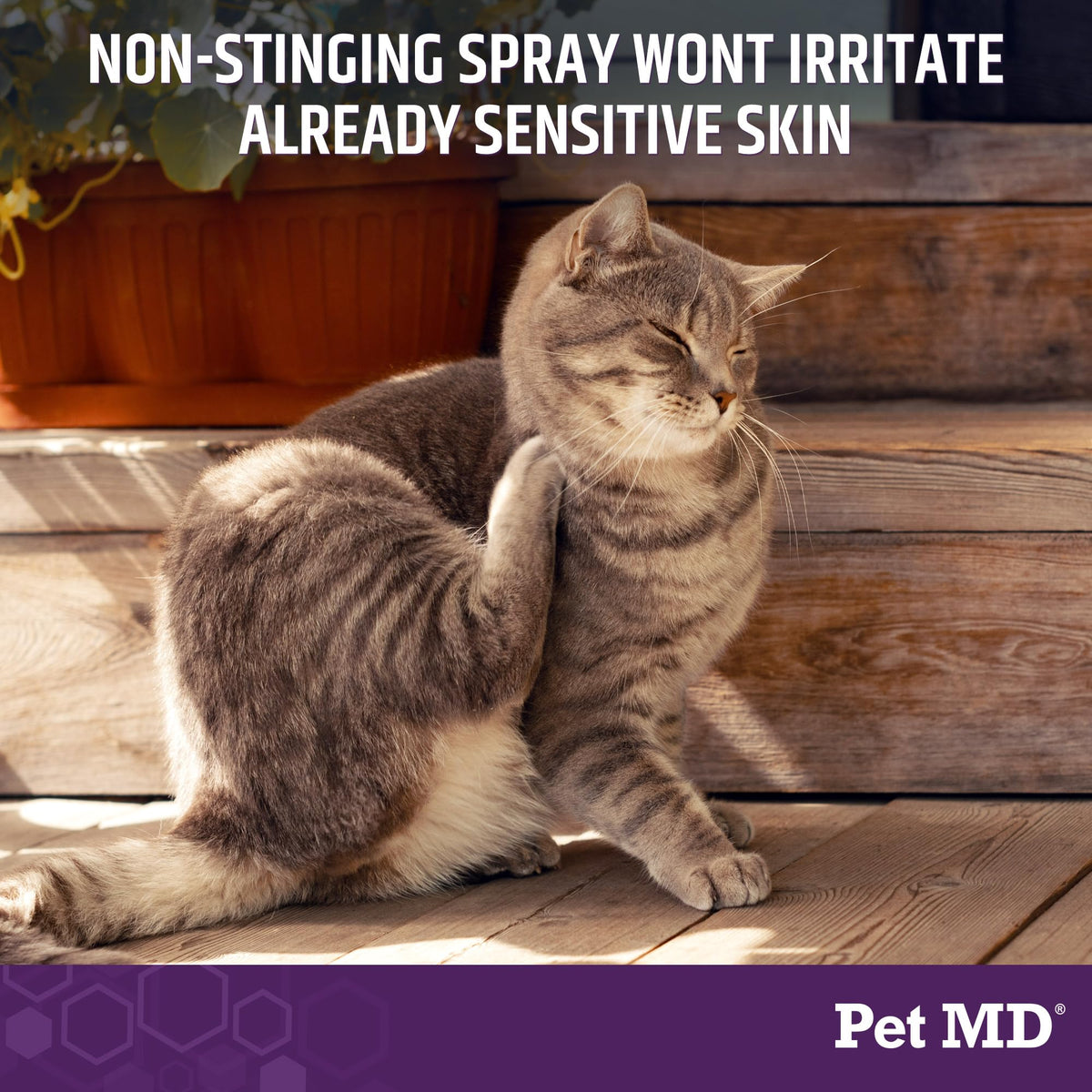 Hypochlorous Acid Spray for Dogs & Pets 4oz Q40720