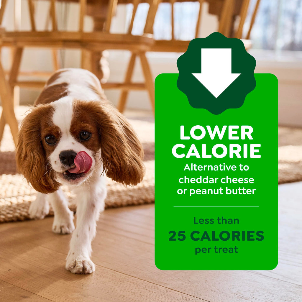 Peanut Butter Large Size Dog Treats 15.8 oz G440