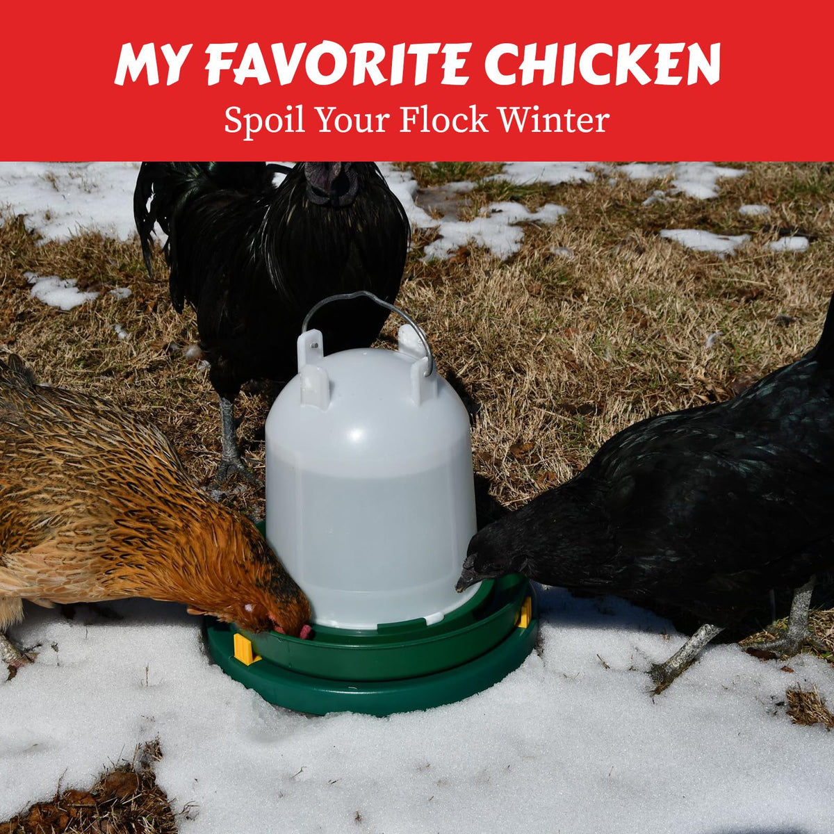 28W Heated Poultry Waterer Base I2304